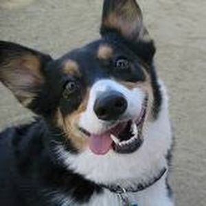 Meet your Posher, Sierra